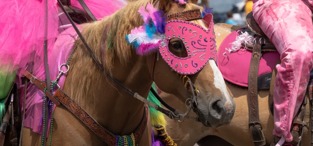 cheval avec masque rose